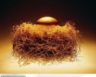 鸟巢里的黄金鸡蛋背景大图