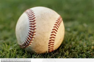 草地上的棒球01