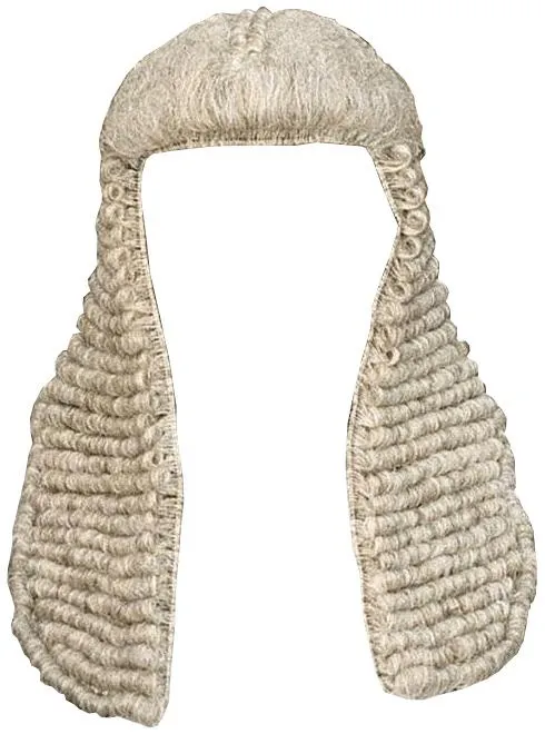 假发 PNG免抠(490x660)