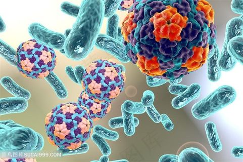 细菌生物研究高清