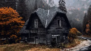 秋天秋日树落叶高清背景