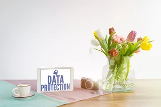 北欧简约绿植盆栽场景(49)