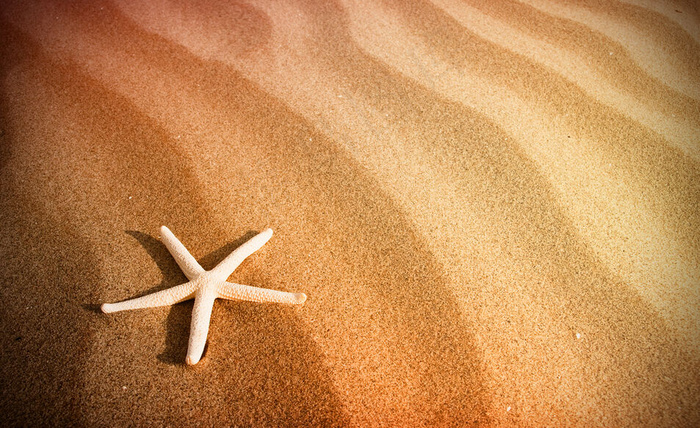 沙子海星背景图片