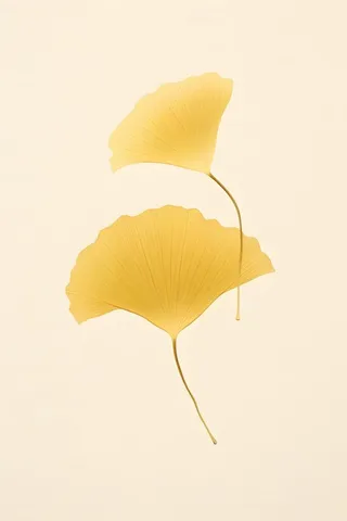 极简复古秋叶背景