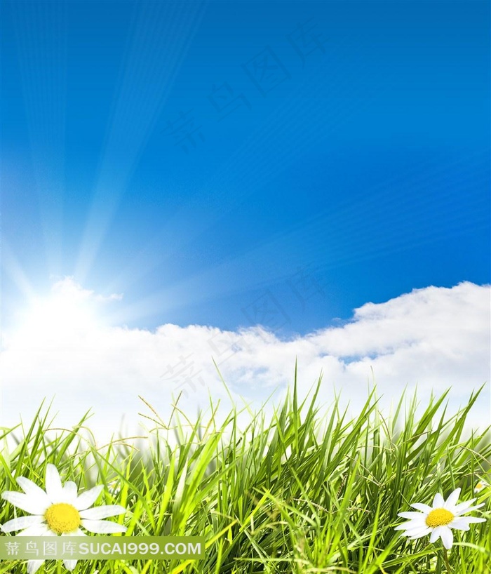 高清草地蓝天风景图片下载