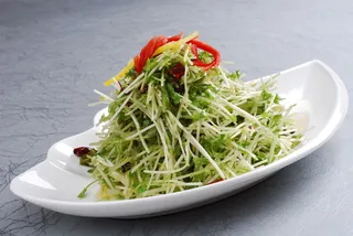 LCSC1976炝拌豆苗