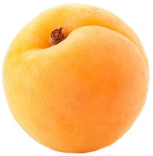 水果杏 红杏 黄杏 大杏 免抠图 