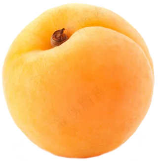 水果杏 红杏 黄杏 大杏 免抠图 