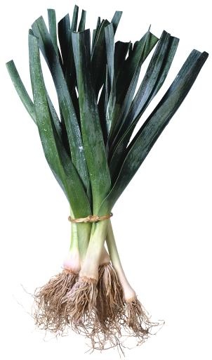 韭菜免抠(1274x2157)