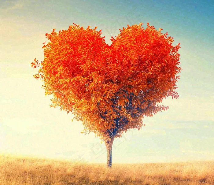 秋天爱心树木橙红色落叶蓝天温馨(1184x1024)