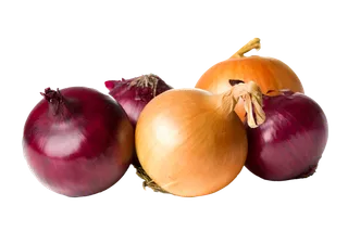 洋葱 (10)超市商品白底图免抠实物摄影png格式图片透明底
