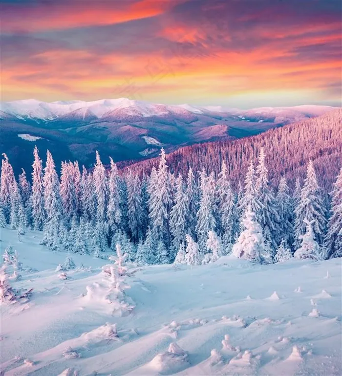 唯美冬季雪山树林景色图片