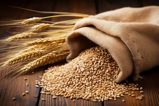 秋季成熟作物布袋倒出的小麦和干麦穗摄影图