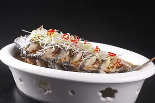 长寿蒜香鲤鱼 (3)