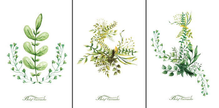 三联手绘花卉装饰画