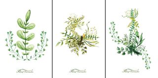 三联手绘花卉装饰画