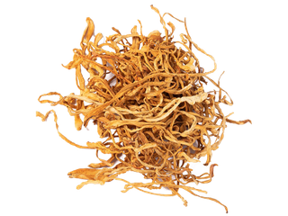 177虫草花超市商品白底图免抠实物摄影png格式图片透明底