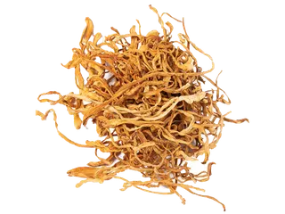 177虫草花超市商品白底图免抠实物摄影png格式图片透明底