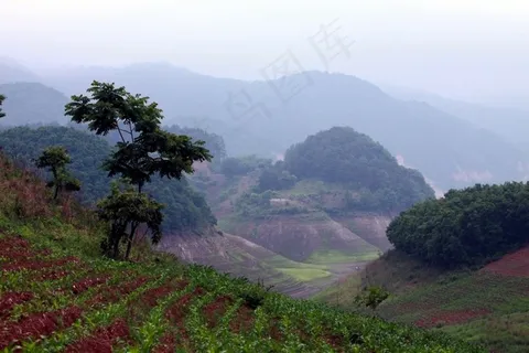 山脉间的梯田 山脉间的梯田