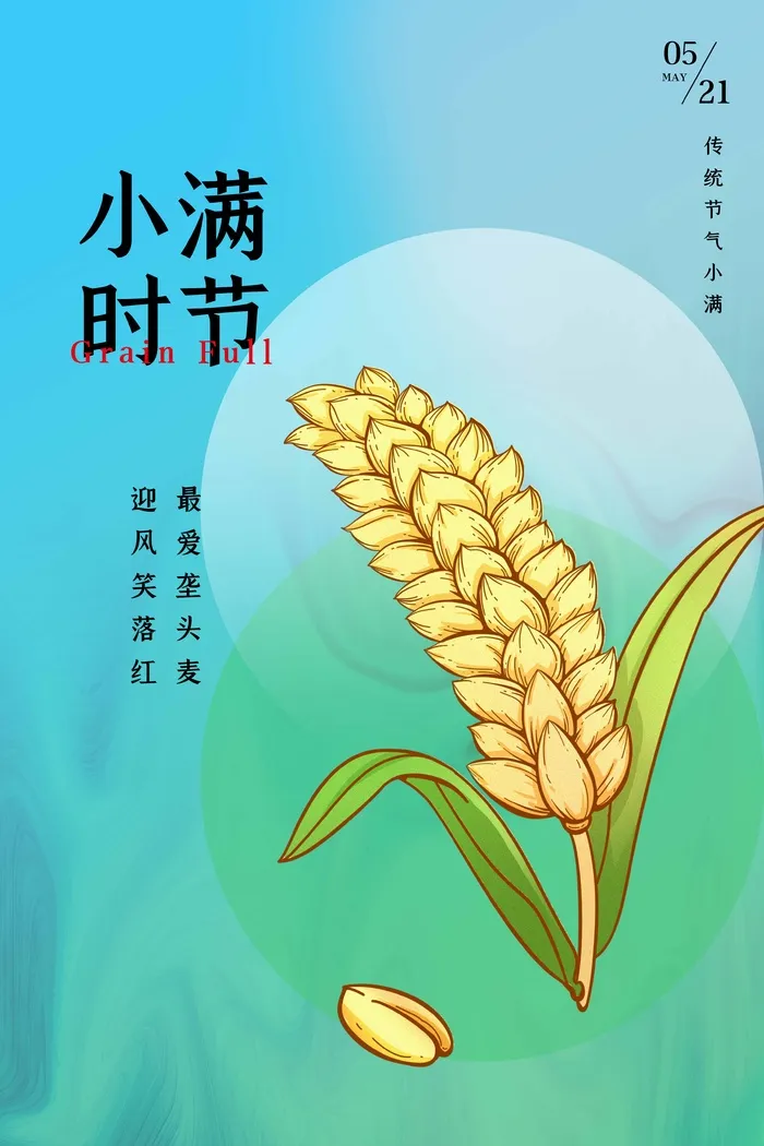 小满 小满海报psd模版下载