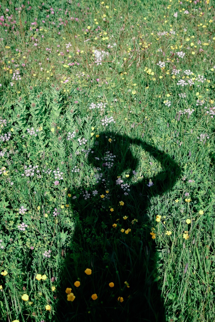 绿草地小女孩儿影子