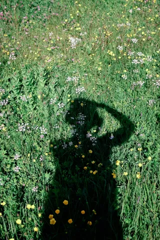 绿草地小女孩儿影子