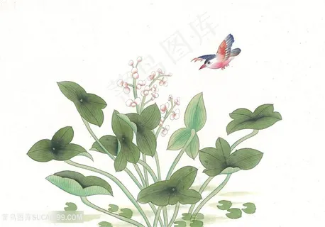 花鸟时尚中式装饰画