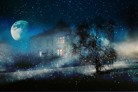 冬天自然背景风景