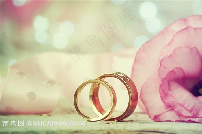 时尚婚戒背景