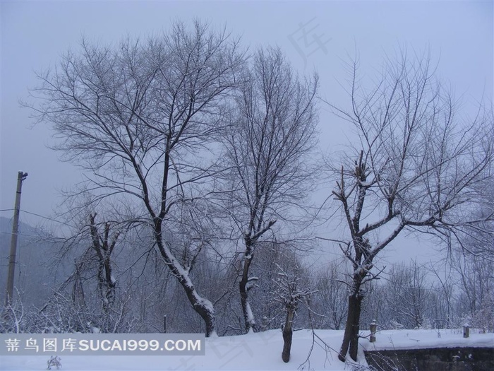 山林冬雪摄影图片