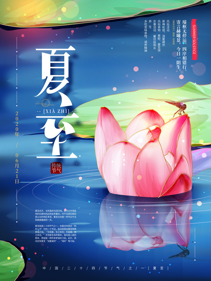 夏至唯美荷花海报