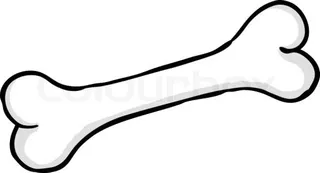 骨头 PNG免抠