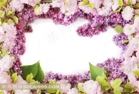 紫色丁香花装饰背景 紫色丁香花装饰背景