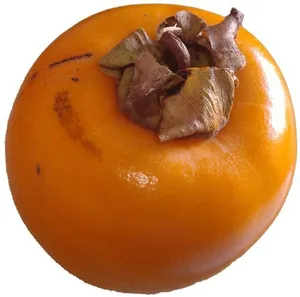 柿子 PNG免抠