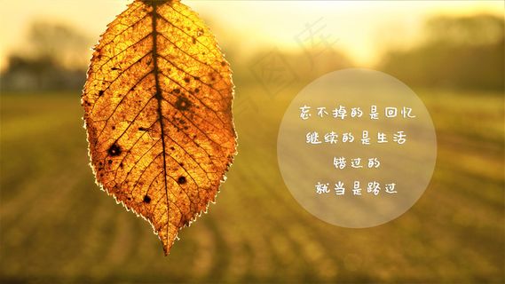 正能量暖心语录图片