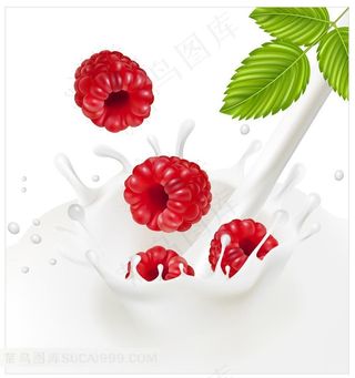 牛奶树莓和叶子