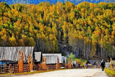 美丽的禾木乡风景大图