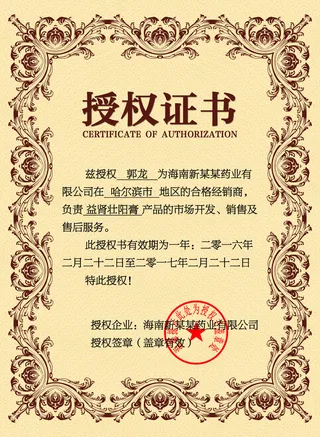 公司企业网络电子模板代理授权资质证书PSD制作设计源文件