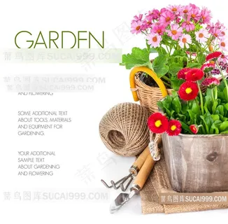 花朵与园艺工具