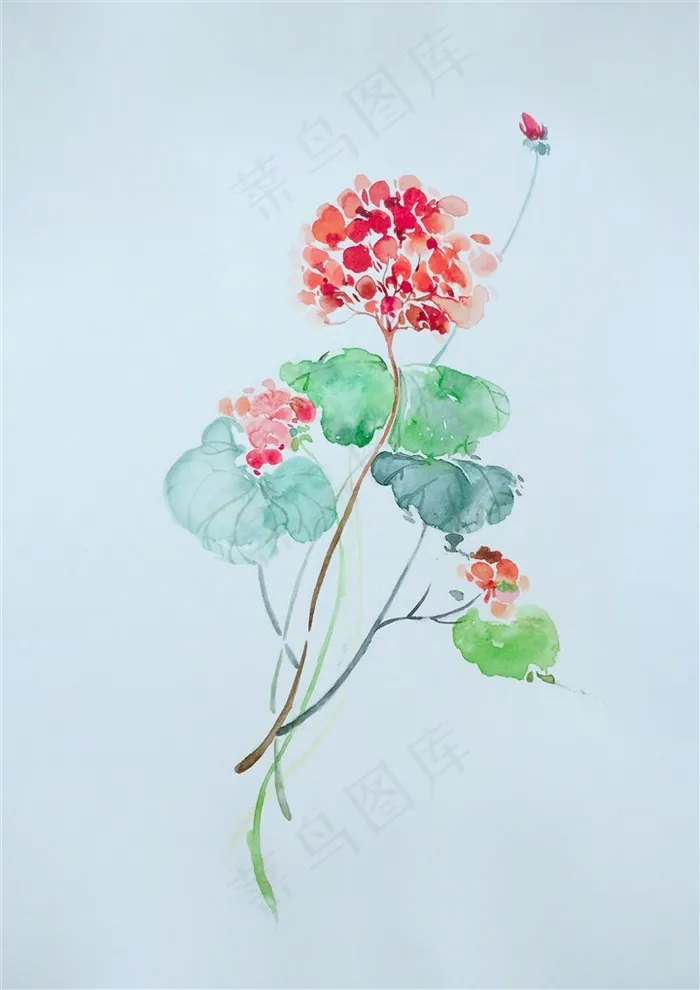 手绘花红色一束花