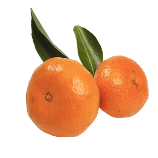 20柑橘 (1)水果超市商品白底图免抠实物摄影png格式图片透明底