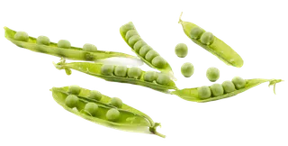 荷兰豆 (5)超市商品白底图免抠实物摄影png格式图片透明底