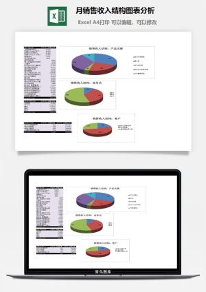 月销售收入结构图表分析excel模板预览图