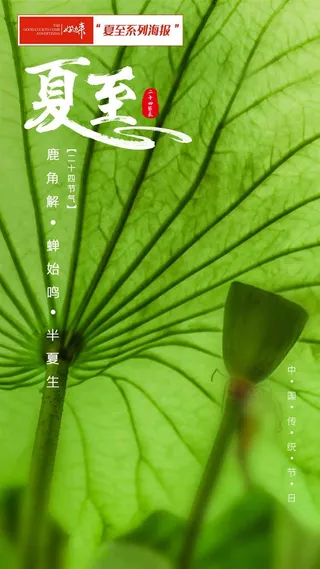 夏至海报唯美