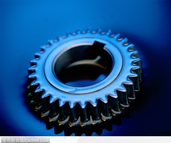 齿轮