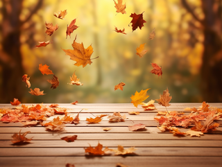 秋天的落叶落在了公园的长椅上摄影图