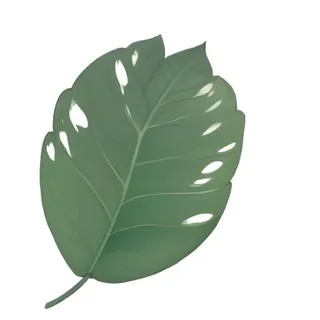 叶子绿叶树叶免抠