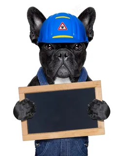 拿着小黑板的卡斯罗狗狗图片 拿着小黑板的卡斯罗狗狗图片