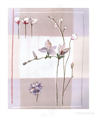 植物水彩花卉插画