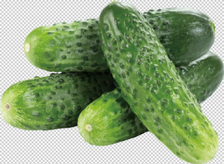 秋黄瓜免扣素材